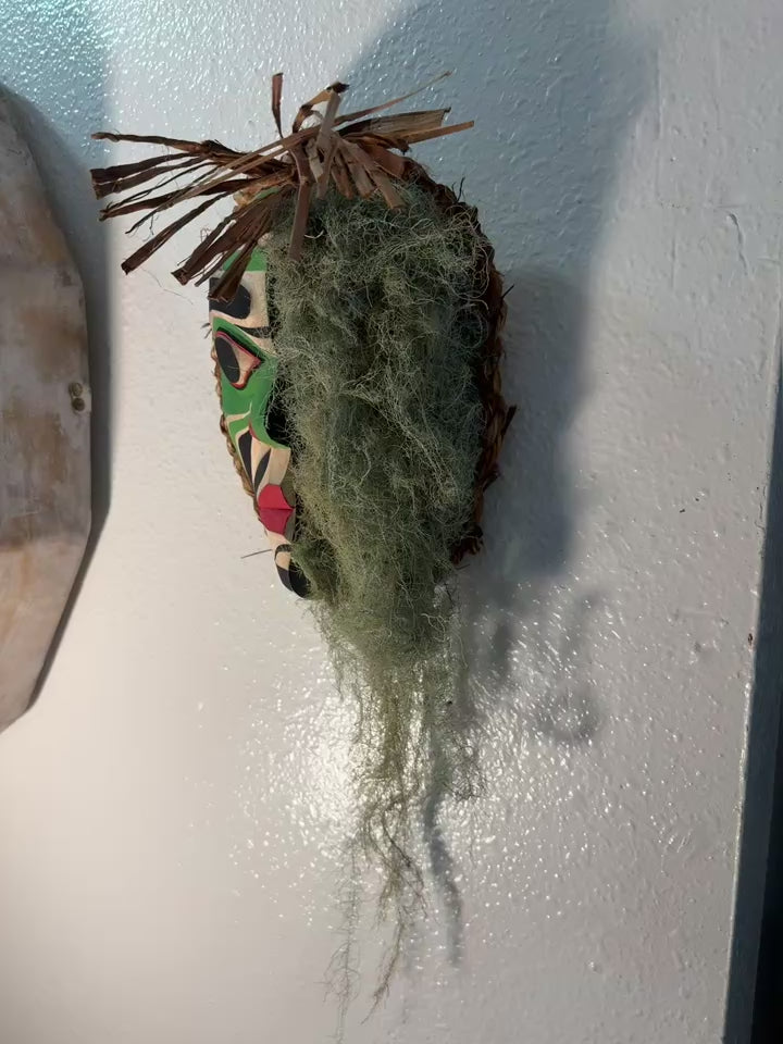 SOLD Northwest Coast First Nations art by Gilbert Dawson - MOSS Man Mask